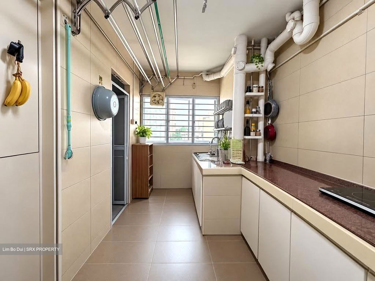 Blk 556 Jurong West Street 42 (Jurong West), HDB Executive #635387581
